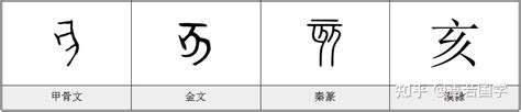 子亥|分解十二地支最深刻解读12（亥）